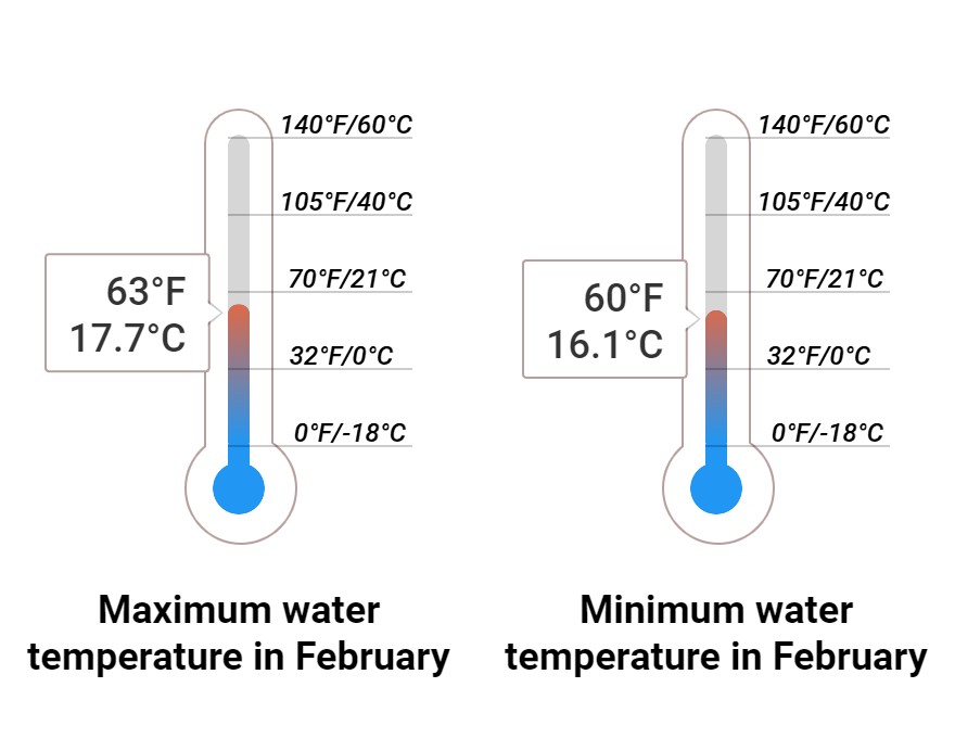 Average Sea temperature